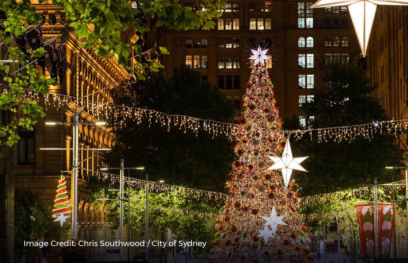 Noel-Sydney-Explore-Sydney-Martin-Place-Christmas-Tree